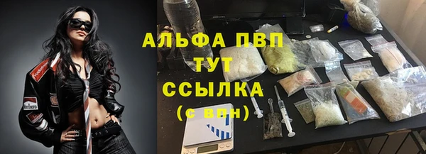 твердый Абаза