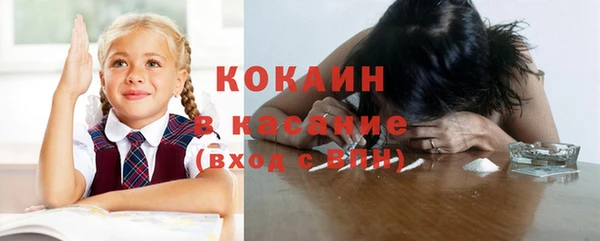 твердый Абаза